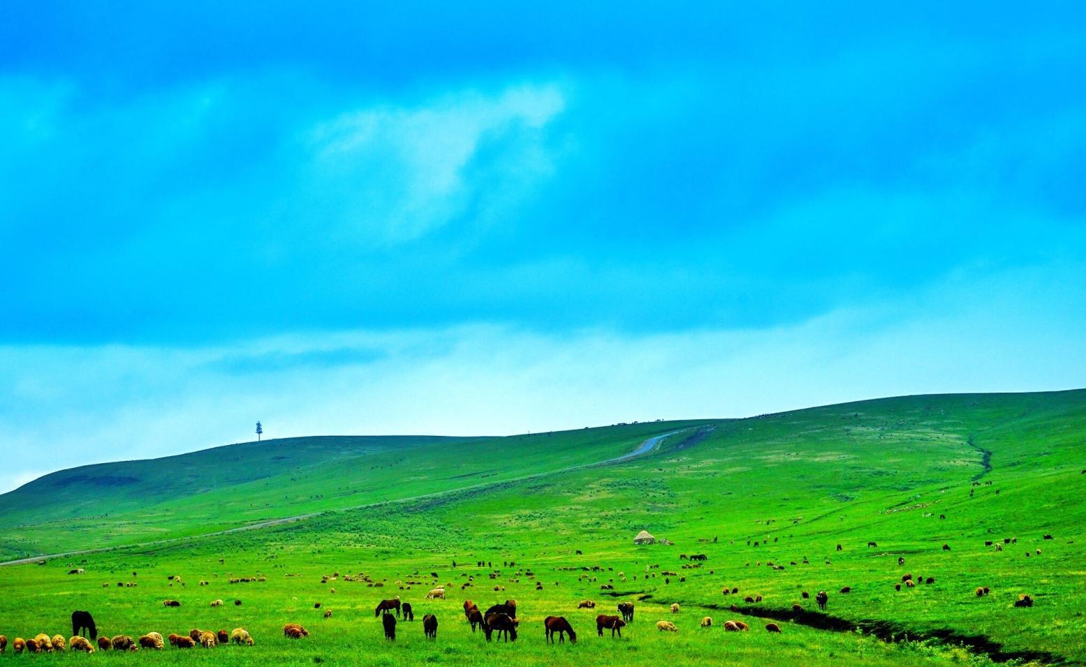 中国草原景点推荐 新疆伊犁草原旅游攻略