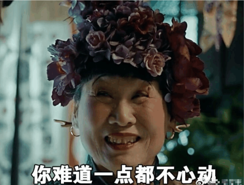 从战狼2到我不是药神她是票房最高的老太太连表情包都经典