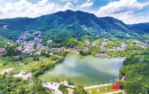 德清县莫干山镇:壮大村集体力促乡村振兴