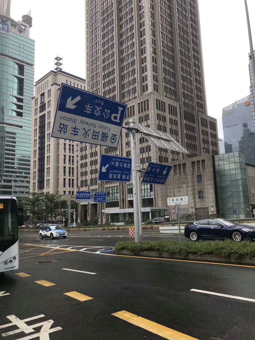 深圳35年最强台风山竹过境 成群大树被吹倒马
