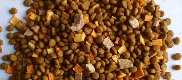 不同类别狗粮的特点,不能随便给狗狗吃不适合