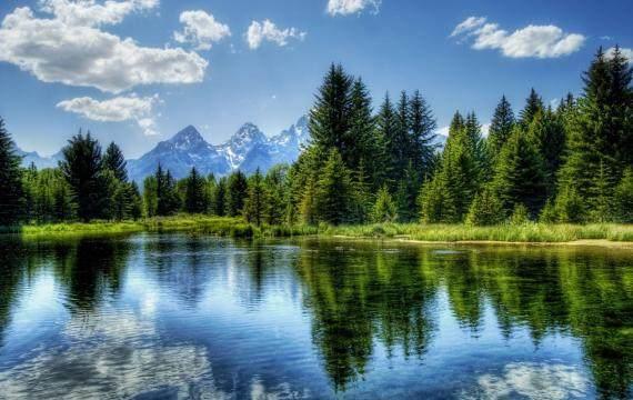 佛经中最有禅意的句子, 句句都是人生真谛