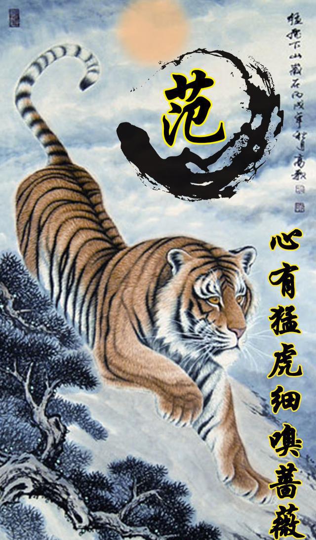 关于虎(生肖壁纸二期),猛虎霸气,年龄成熟人士的生肖设计