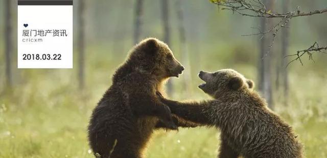 直系亲属房产过户:买卖、赠与哪个划算?