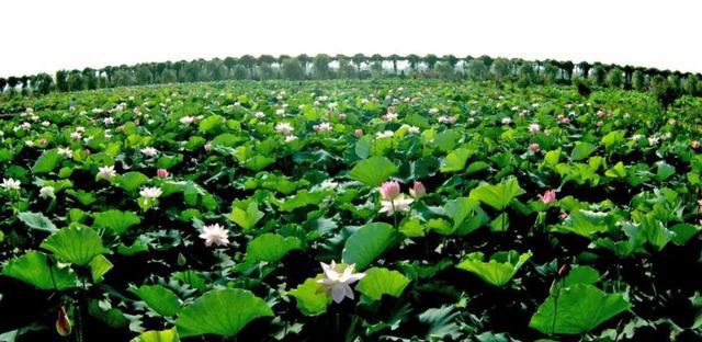 淮安——我们不一样