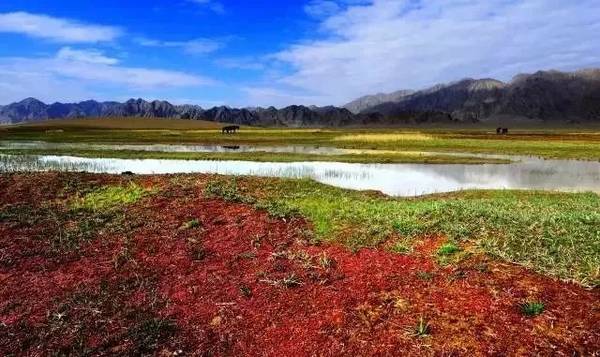 2018青海旅游时间表新鲜出炉!