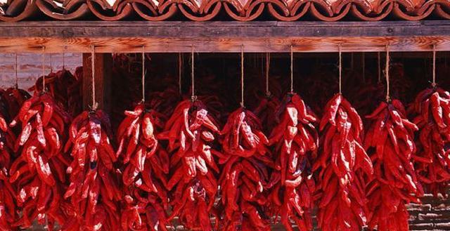 四川人不怕辣,贵州人怕不辣,湖南人辣不怕到