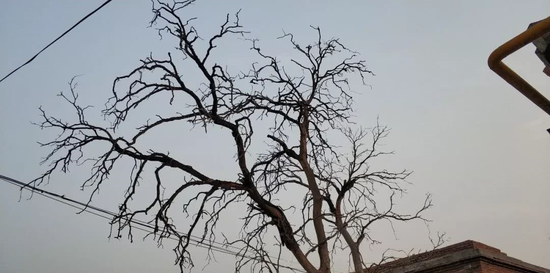 老家太谷一朱家堡村