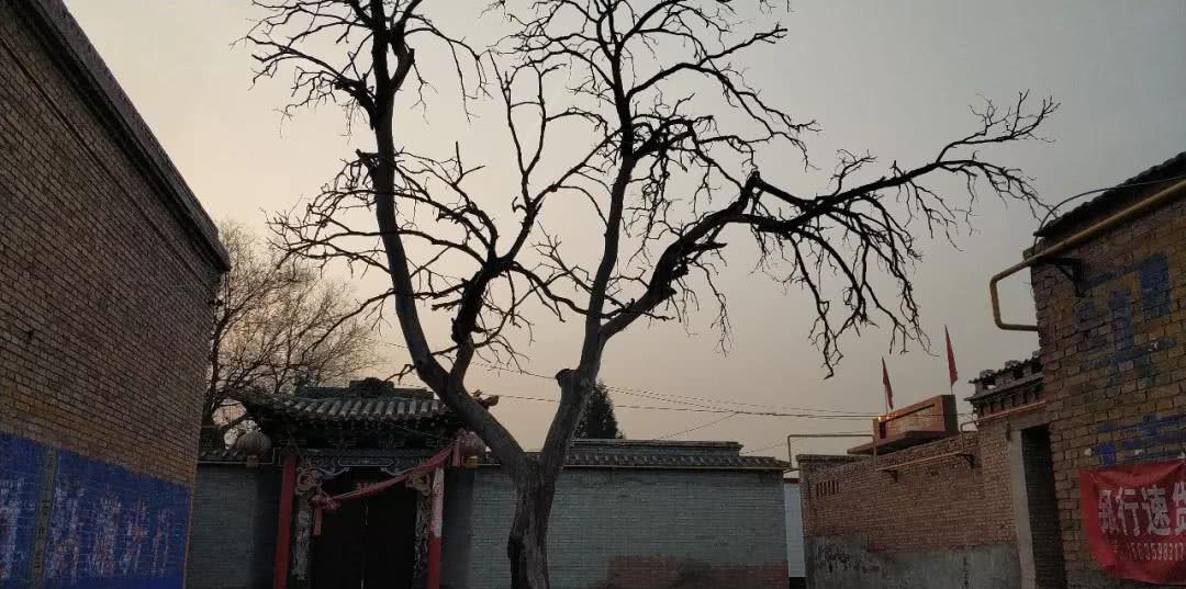 老家太谷一朱家堡村