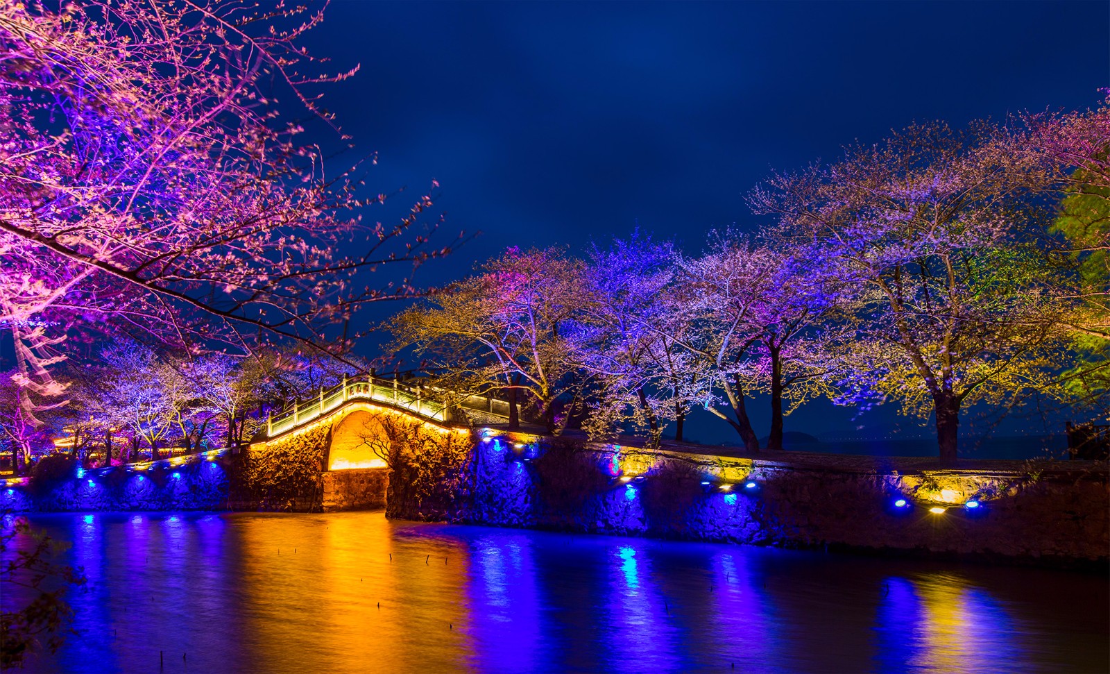 无锡太湖鼋头渚夜赏樱花，昨晚开始试灯