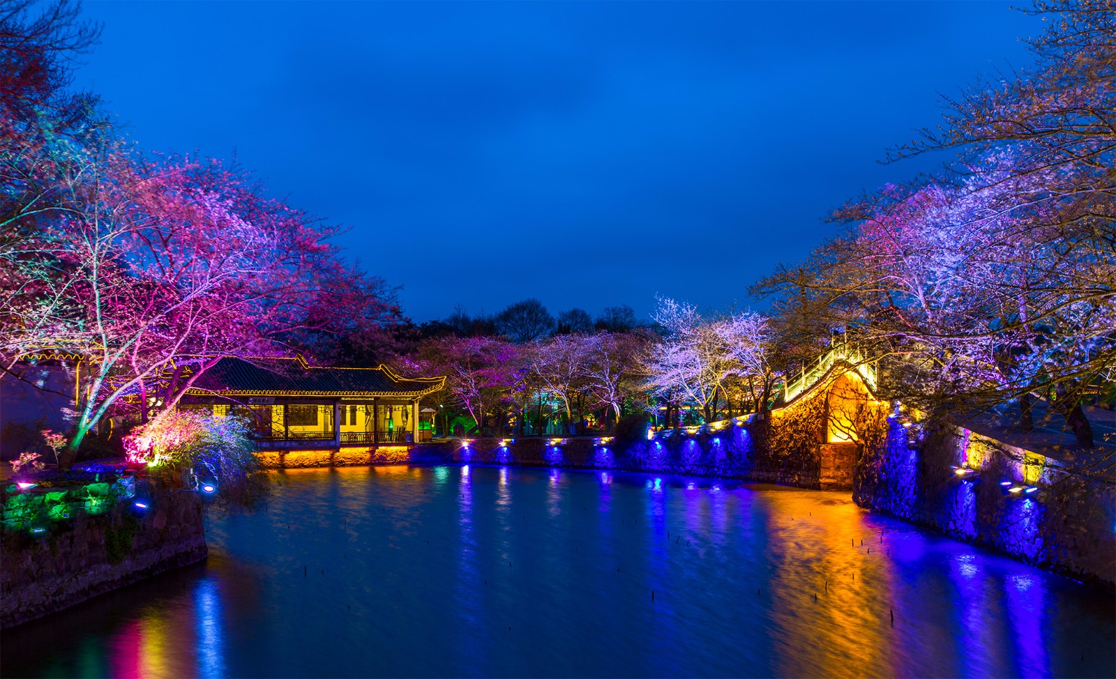 无锡太湖鼋头渚夜赏樱花，昨晚开始试灯