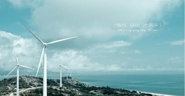 遮浪马仔名字超好听 感觉就像家乡的沙琪玛