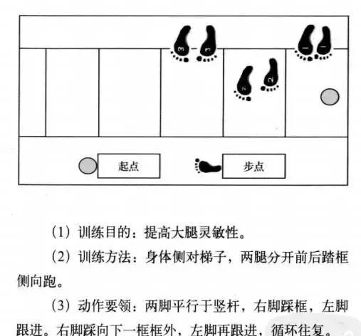 软绳梯的14种训练方法,赶紧收藏!