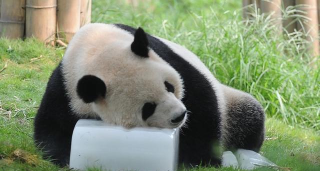 高温来袭,见识下古人九大避暑神器!最后一个不服不行!