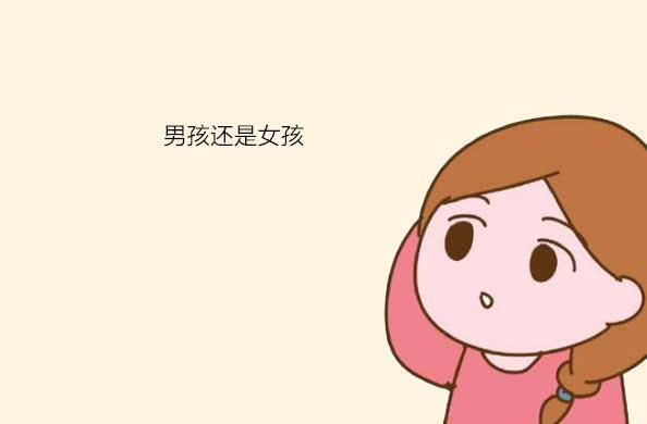 胎儿性别在什么时候形成?由什么决定?答案来了