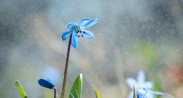 文学作品中绝妙精准,功力深厚的比喻句(100句