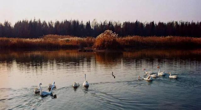 淮安——我们不一样