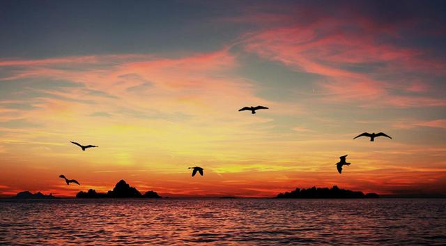 露从今夜白,月是故乡明:若用一句诗描述故乡,你会想到哪一首?