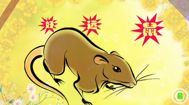 十二生肖属鼠的旺财旺运势的五种方法