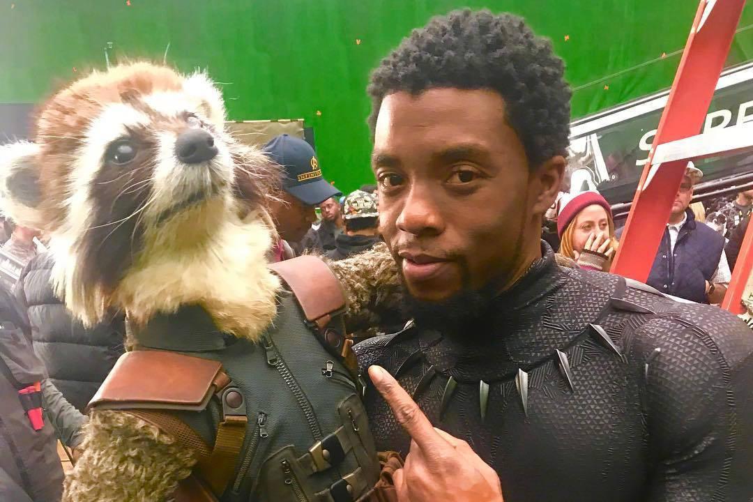 黑豹网络怎么样 e706-hespqrx3913637.jpg