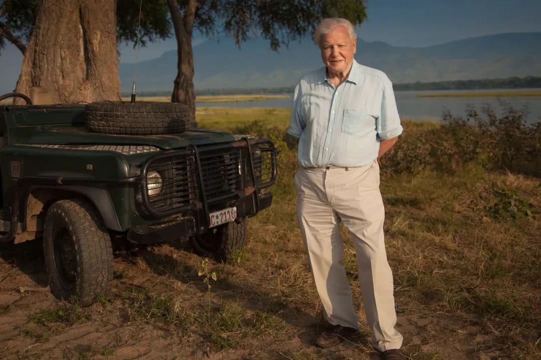 BBC的纪录片《王朝》,打9.6分都低了