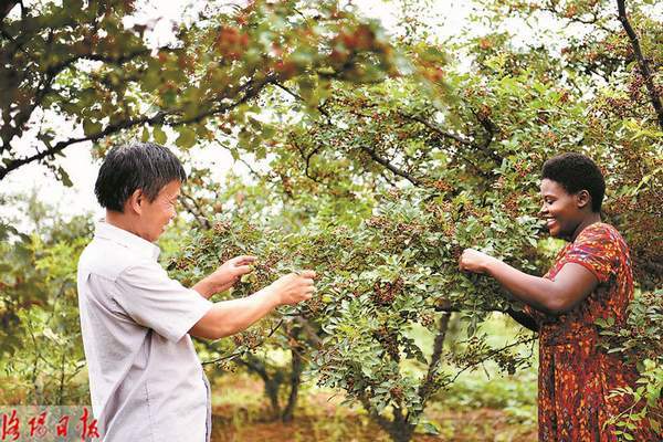40岁农民大叔娶25岁非洲女孩:恋爱期间全靠手