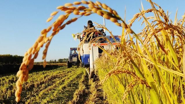 农村人口流失严重,农民纷纷改行,未来农村还有
