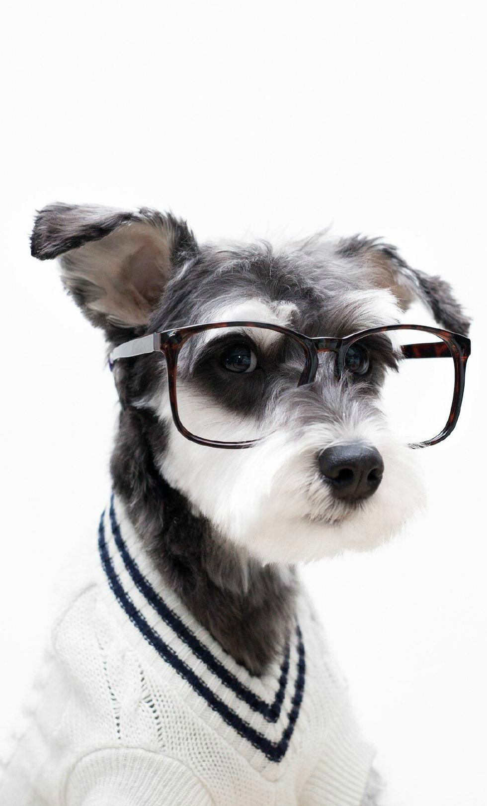 手机竖屏壁纸,愿你走出半生,归来仍是少年