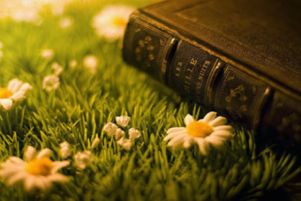 非常经典句子,的聪明人寻找机遇,智慧人制造机