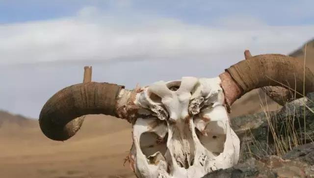 中国最美生命禁区就在新疆这个地方！不是胆子大就能去的！