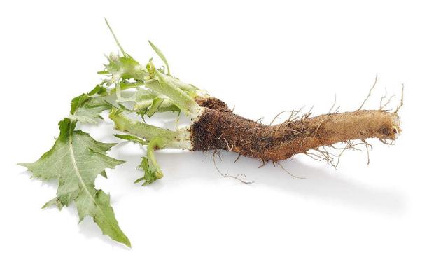 尿酸高的人喝苏打水能排出尿酸吗?