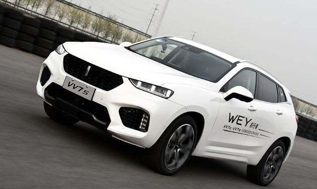 国产豪车果真一夜成名, 刚上市就断货, 粉丝太多市场反应强烈