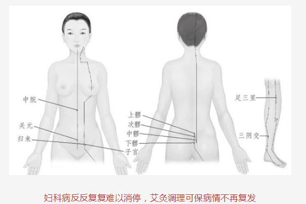 艾灸七穴位,通调常见病(29)