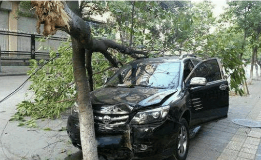 同样是撞树, 汉兰达和比亚迪的表现中间隔着个五菱!