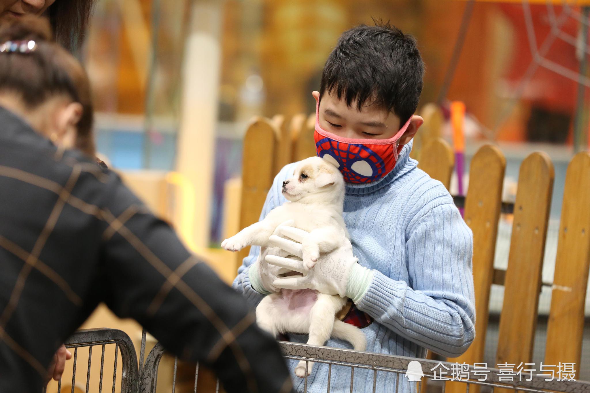 商场内新开动物园 小孩高兴大人烦心 为啥