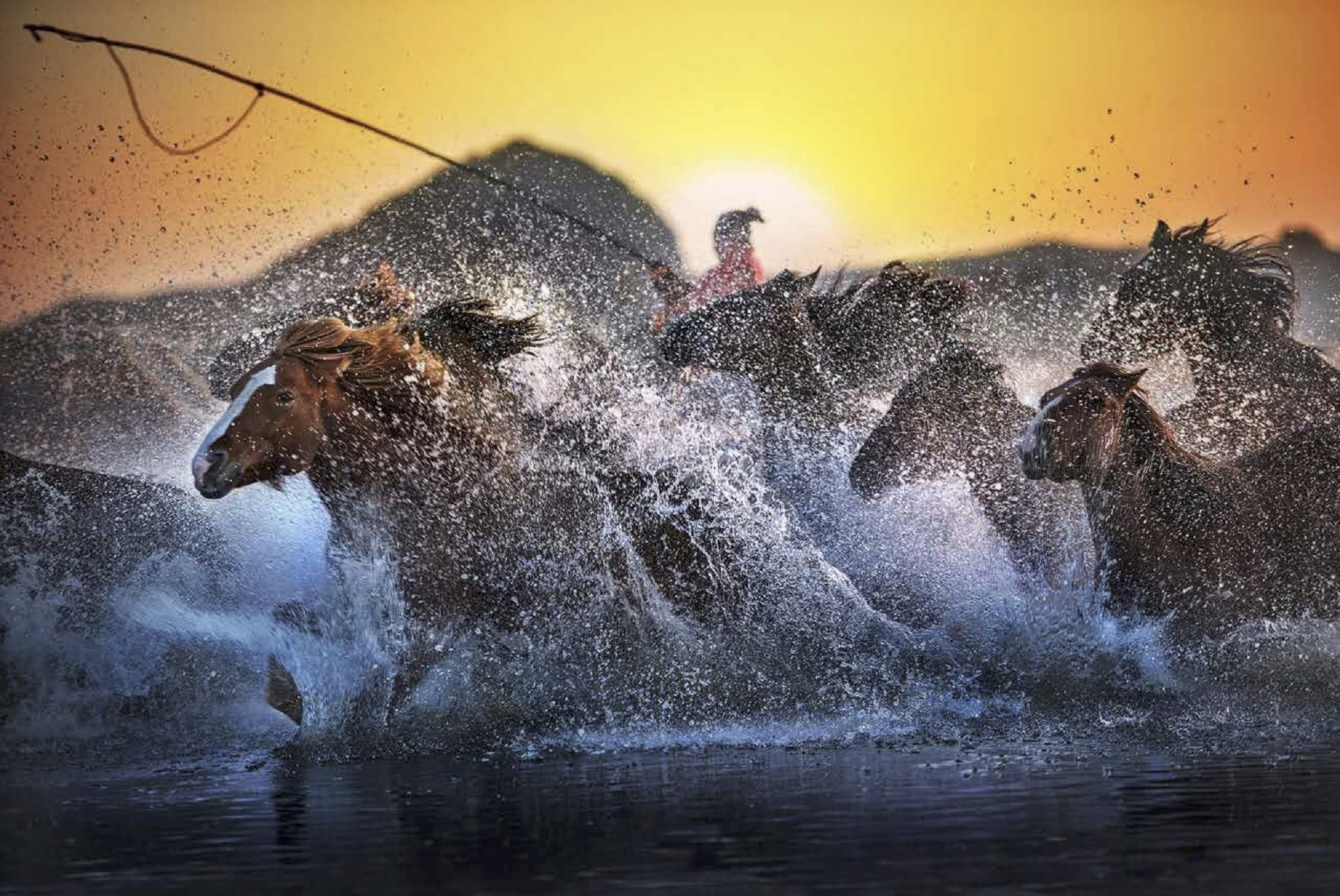 我推荐你的作品进入视觉中国库片库