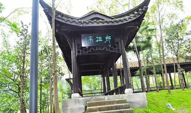 重庆市开州本土美景-举子园