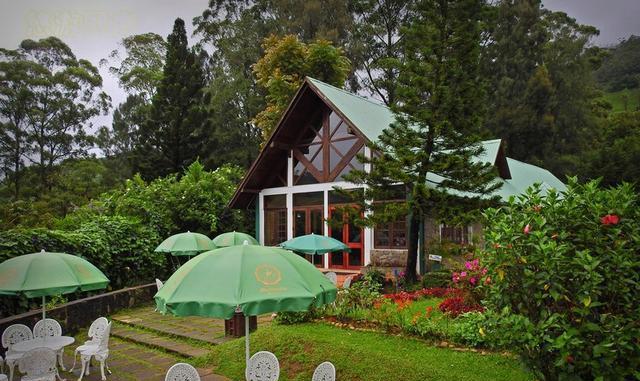 世界上最好的红茶产地原来在这里! 茶好, 风景