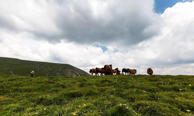 春季北京周边10条自驾线路，周末踏青赏花最佳的选择！