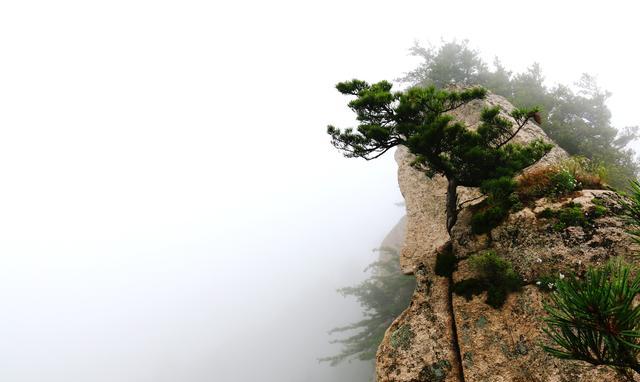 文明良心洛阳白云山游玩攻略!罗斯福6攻略景区图片