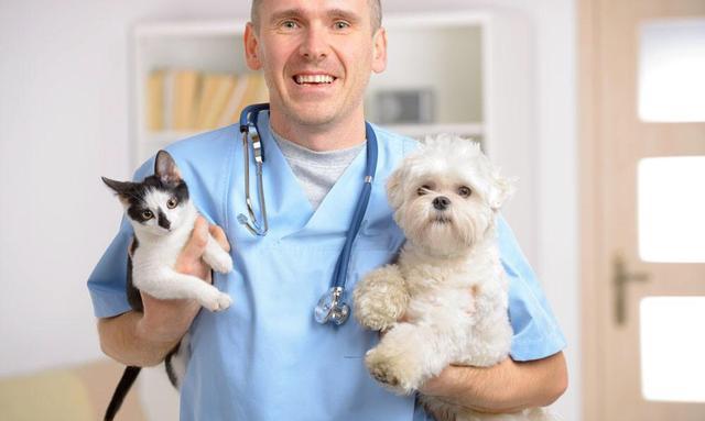 答网友问 如何成为一名宠物医生