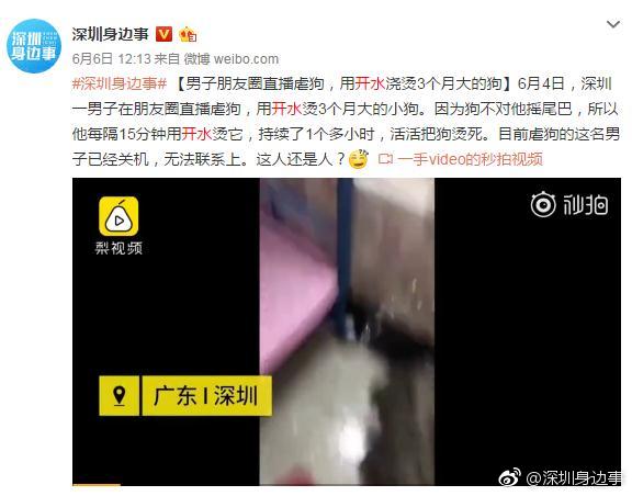 深圳用开水烫狗男子回应:当时只是想让它死,没