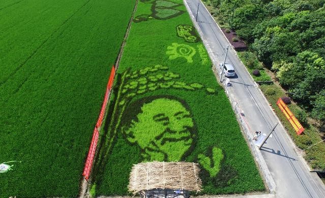 我国是农业大国,为什么还要大量进口日本大米