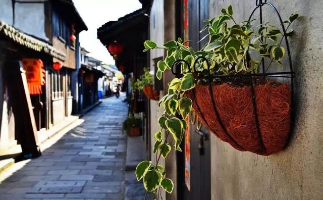 成都周边一日游?推荐7个免费超美的景点给你