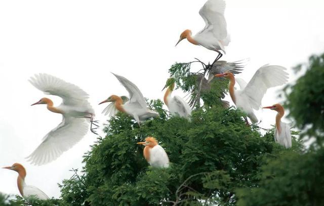 淮安——我们不一样