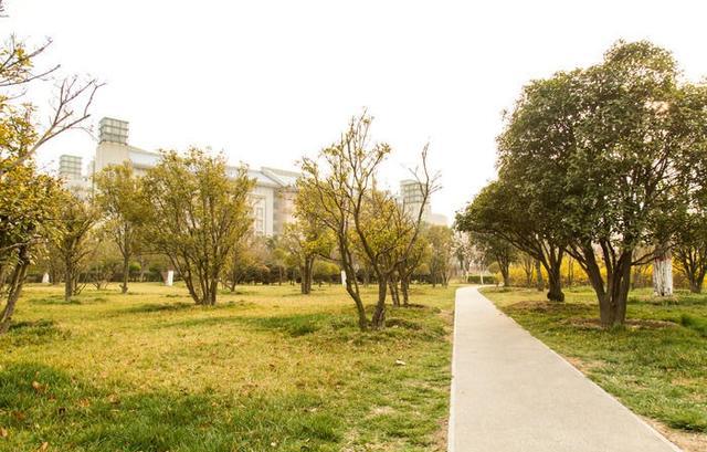 当今大学生如此多，还有必要读大学么？