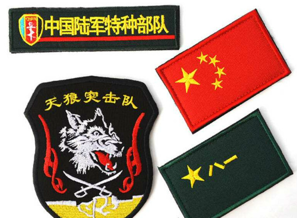 中国四大特种部队专属徽章,你最喜欢哪一个,小编喜欢所有_新浪看点