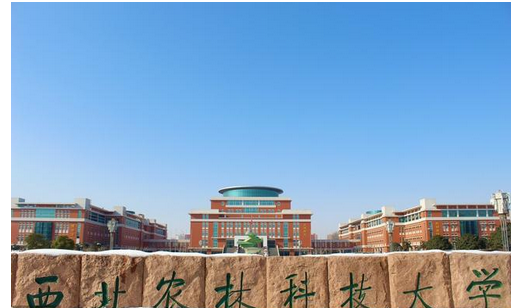 5所录取分数线最低的985大学,看看有没有你们