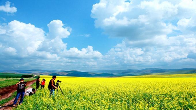 几月去呼伦贝尔草原旅游比较好?