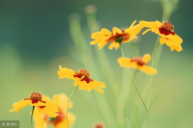 2018年5月3日正能量语录:任何的安慰都没有自